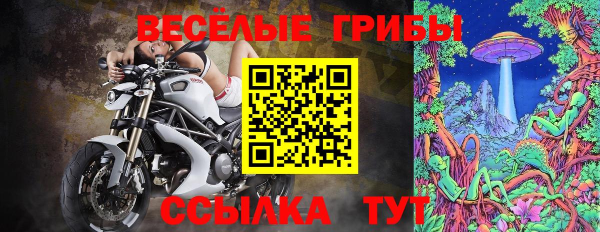 Псилоцибиновые грибы GOLDEN TEACHER Барнаул