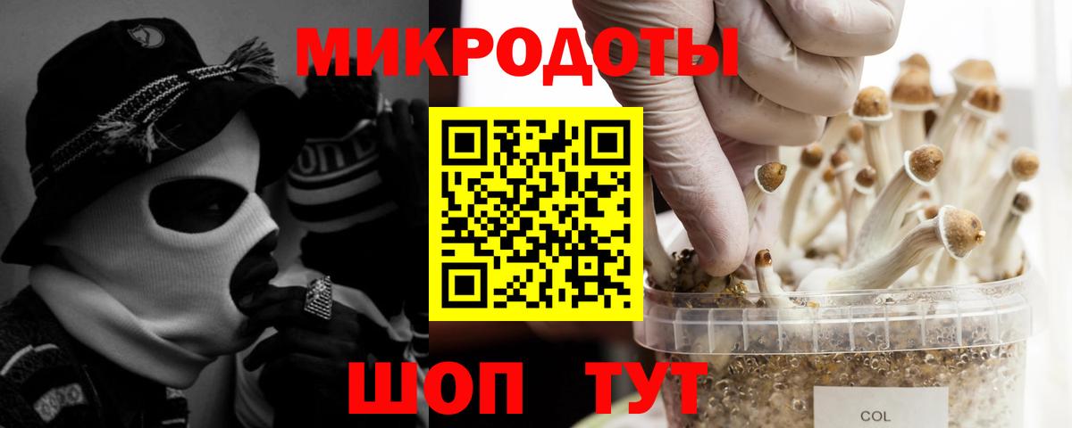 Галлюциногенные грибы GOLDEN TEACHER  Галлюциногенные грибы MAGIC MUSHROOMS  как найти закладки  Вход с VPN  Барнаул 